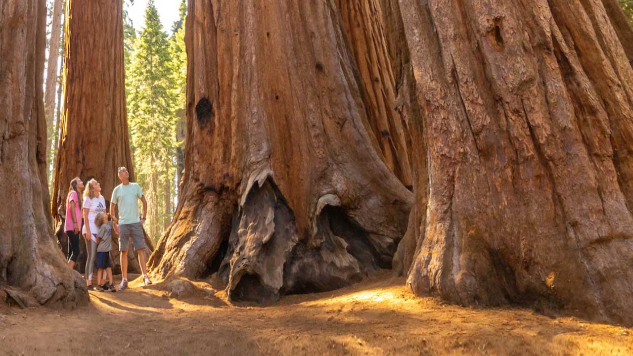 3 Embárcate en un emocionante recorrido de 15 días por el Oeste Americano, desde Los Ángeles hasta San Francisco, explorando paisajes icónicos y ciudades vibrante