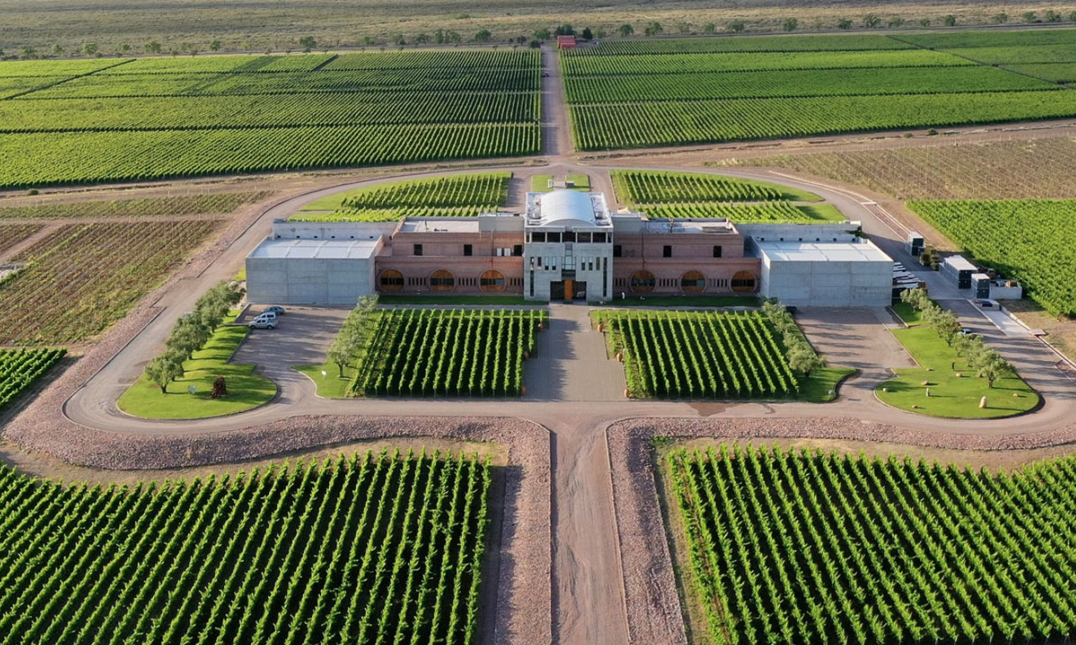 3 Tours únicos por Mendoza, desde el majestuoso Aconcagua hasta viñedos legendarios. Aventuras montañosas y degustación de vinos te esperan