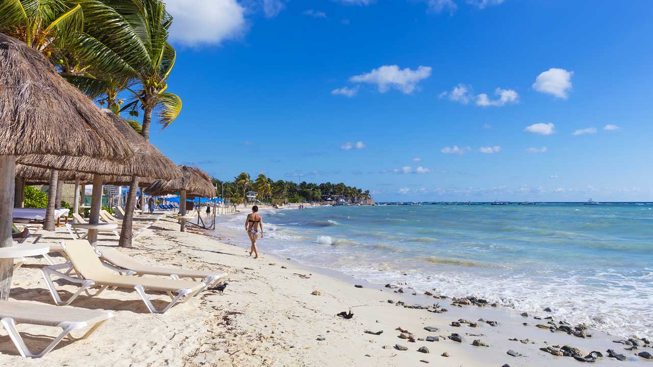 Aventura y Relax: Tour Todo Incluido en Playa del Carmen